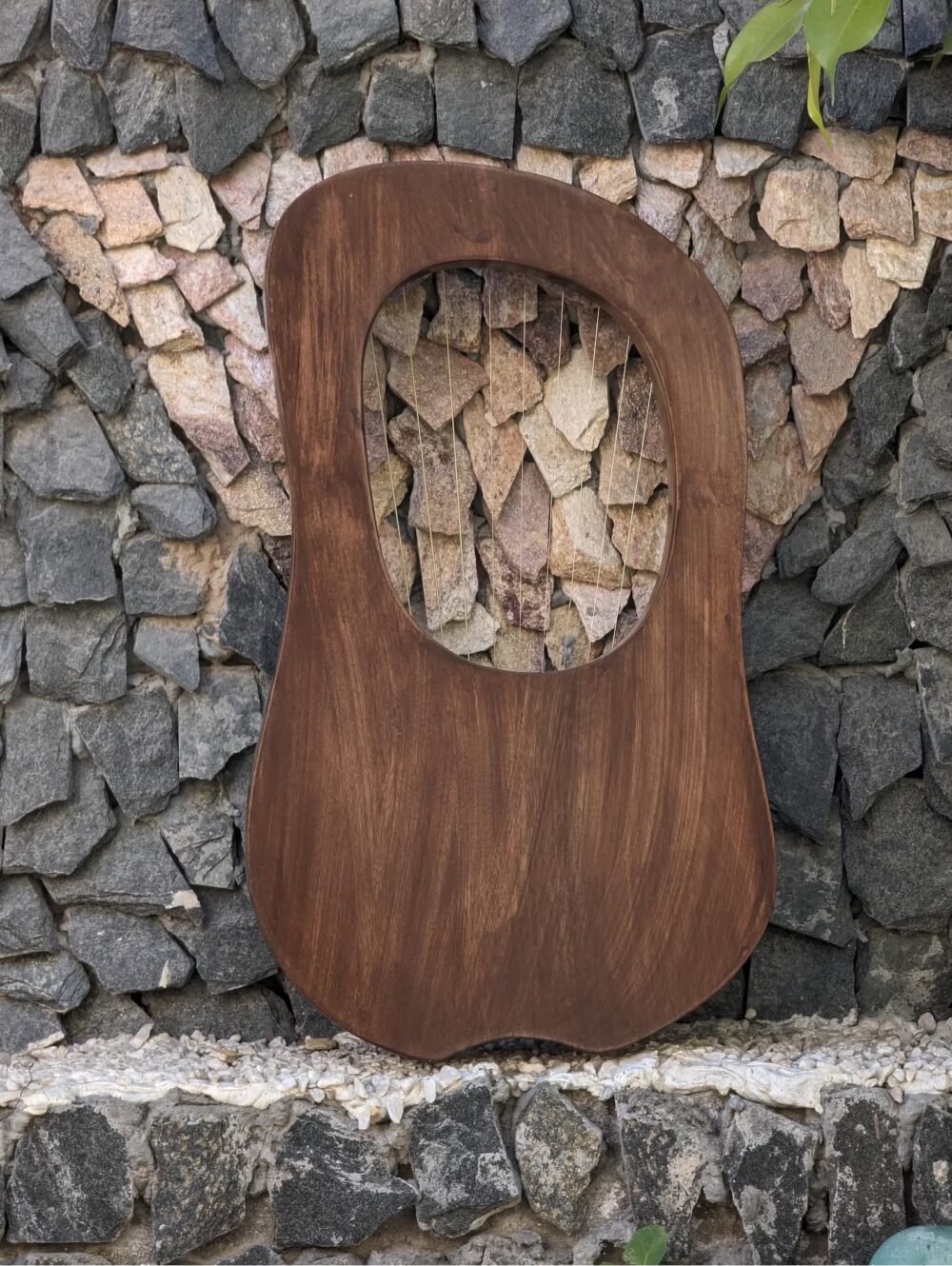 Back side of a solid wooden lyre harp showing smooth dark brown finish, natural wood grain, and upper open sound cavity.